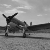 dsc_1910bw-1